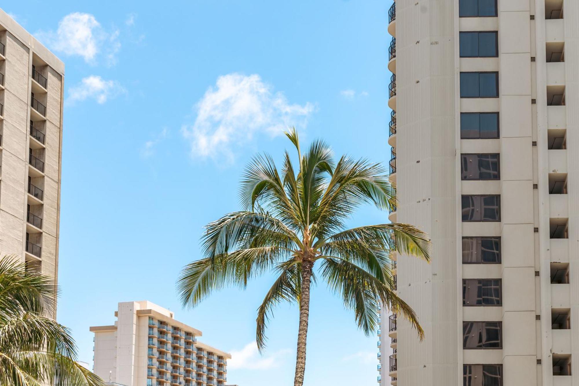 Mountain View Getaway, Free Parking And Beach Steps Away ホノルル エクステリア 写真